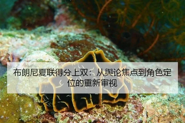 布朗尼夏联得分上双：从舆论焦点到角色定位的重新审视